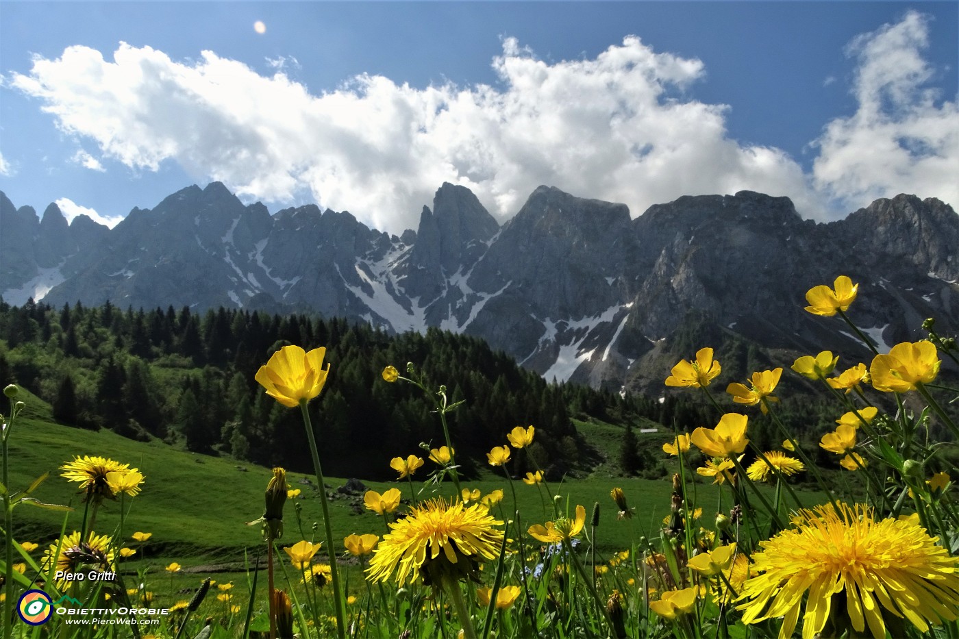 13 Splende il giallo del tarassaco e del ranuncolo con lo spettacolo delle Piccole Dolomiti Scalvine  .JPG